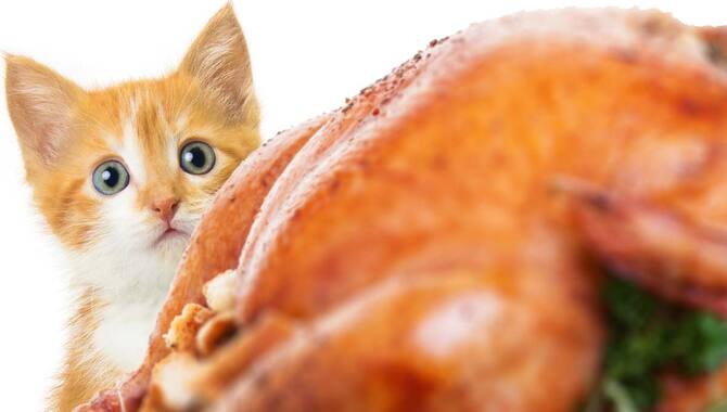Can A Cat Get Sick From Eating Turkey