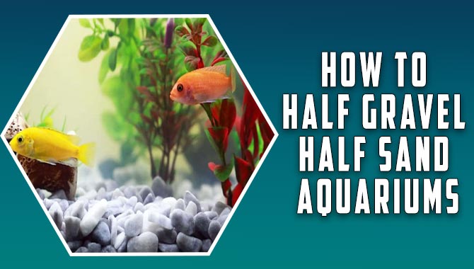 How To Half Gravel Half Sand Aquariums