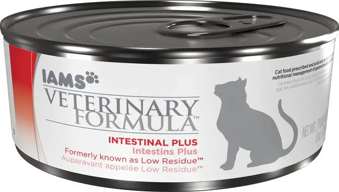 Iams Veterinary Formula Intestinal Low Residue Canned Cat Food