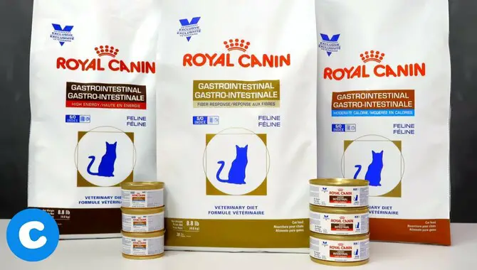 Royal Canin Veterinary G.I. Fiber Response Dry Cat Food