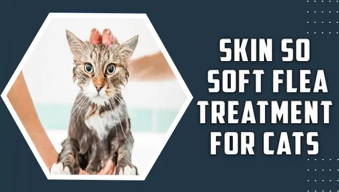 Skin So Soft Fleatreatment For Cats – All You Need To Know