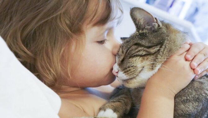 Your Cat Is Showing His Affection For You: