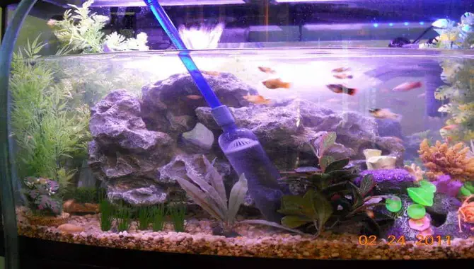 Excessive Water Changes