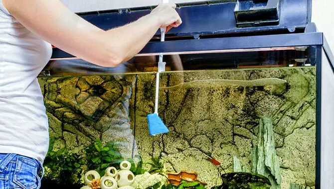 How To Clean An Aquarium After Fish Died