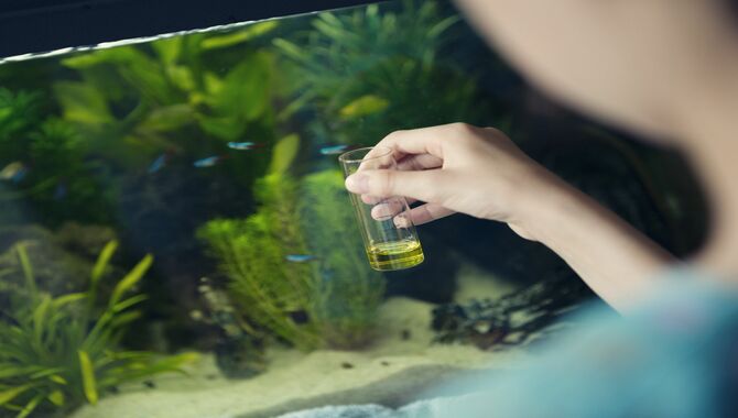 How To Test And Correct Water Quality Problems In Aquariums