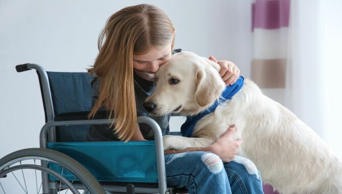 Here Are Some Facts About Service Dogs