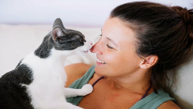 Is It Safe To Let Your Cat Lick You