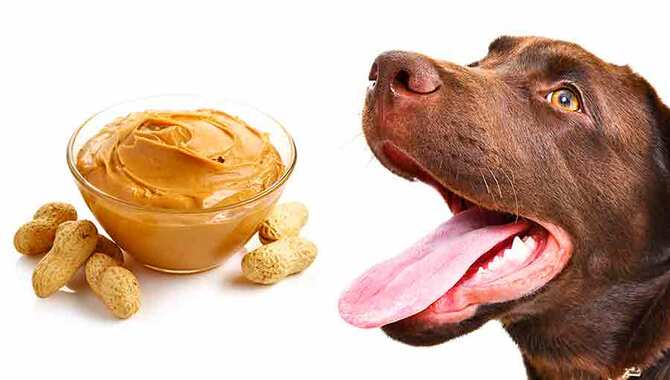 Is Peanut Butter Bad For Dogs