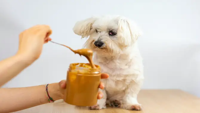  Peanut Butter Is A Healthy Snack For Dogs.