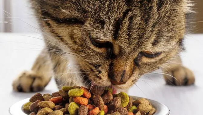 What Are The Benefits Of Small Pellet Cat Food