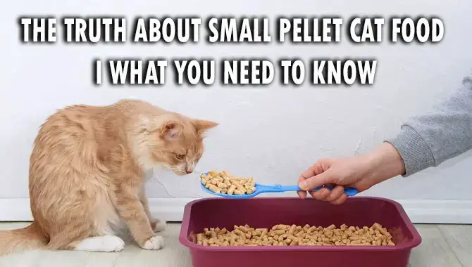 The Truth About Small Pellet Cat Food –  What You Need To Know