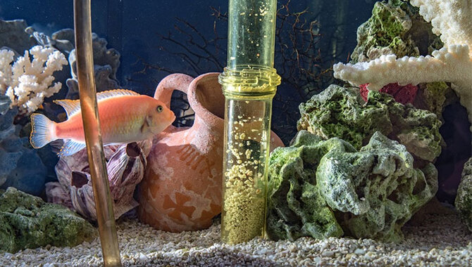 6 Easy Ways To Clean Old Aquarium Gravel