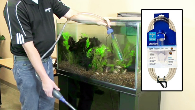 How Often Should You Clean Aquarium Gravel