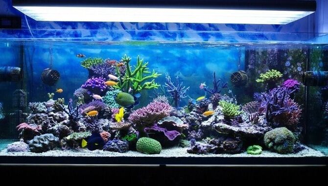 Things To Keep In Mind While Reducing Water Hardness In An Aquarium