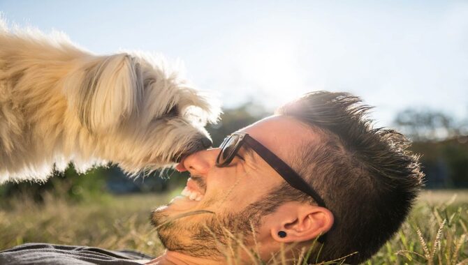 9 Reasons Why Dogs Lick People