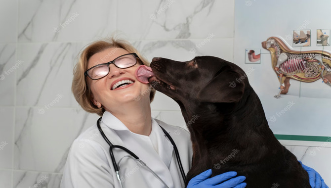 A Veterinarian's Perspective On Dog Licking