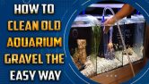 How To Clean Old Aquarium Gravel
