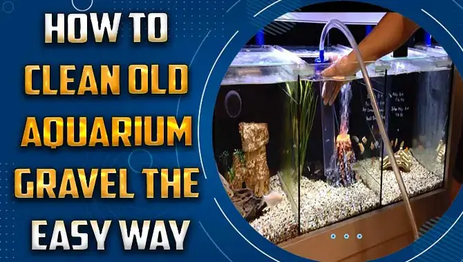 How To Clean Old Aquarium Gravel – [The Easy Way]