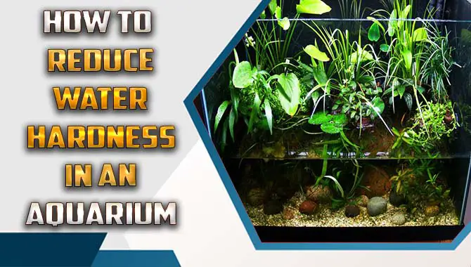 How To Reduce Water Hardness In An Aquarium