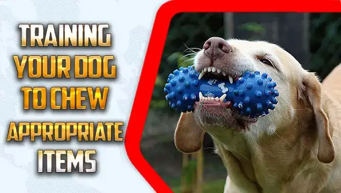 How To Training Your Dog To Chew Appropriate Items – Step By Step Guide