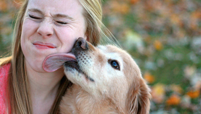 Is Dog Licking A Problem?