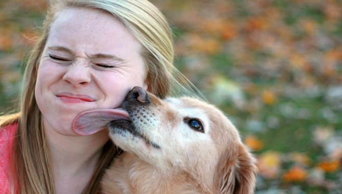 Is It Harmful To Your Dog To Lick You
