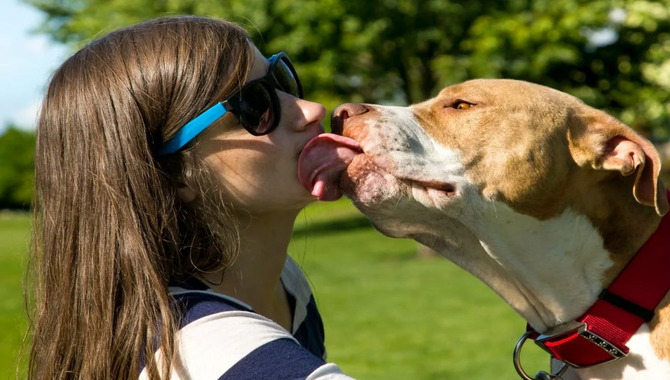 The Neurochemistry Of Dog Licking