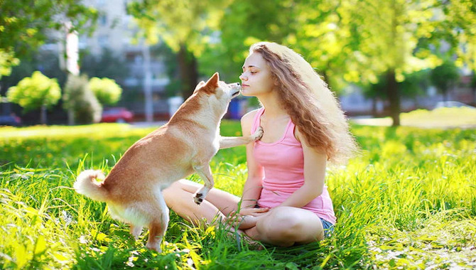 The Physiological Benefits Of Dog Licking