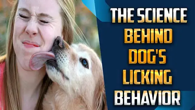 Uncovering The Science Behind Dog’s Licking Behavior – Explore
