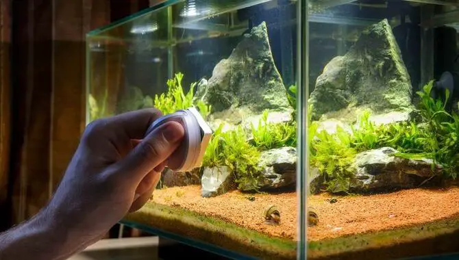 5 Easy Ways How To Handle And Install Aquarium Glass Safely