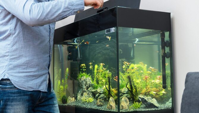 Additional Resources For Selecting The Right Glass For Your Aquarium