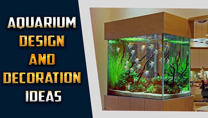 Aquarium Design And Decoration Ideas