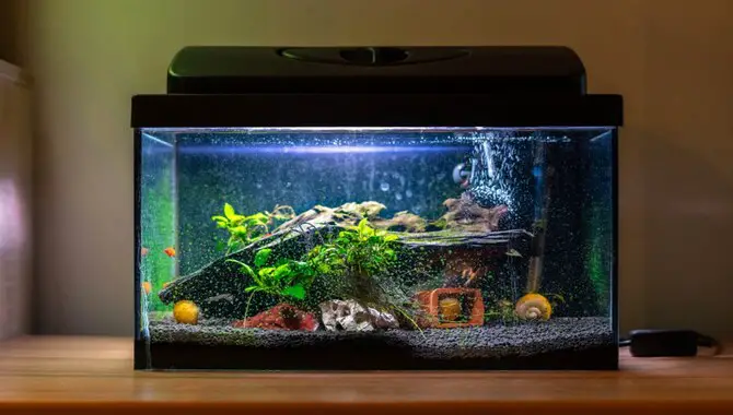 Choosing The Right Glass For Your Aquarium