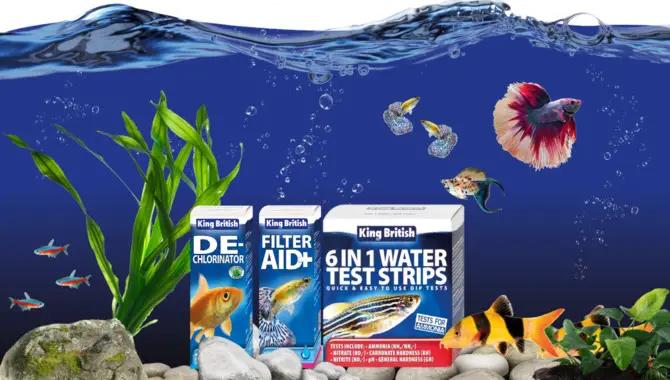 Consider The Water Conditions In Your Aquarium.