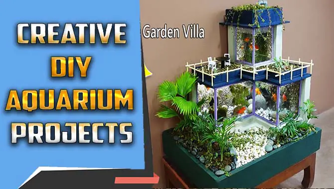 Creative Diy Aquarium Projects – The Ultimate Guideline