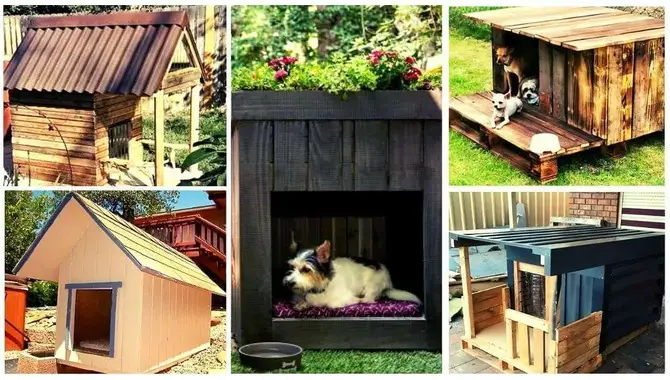 Dog house is a great way to pamper your pooch and keep them warm in the winter months. But what do you need to make one