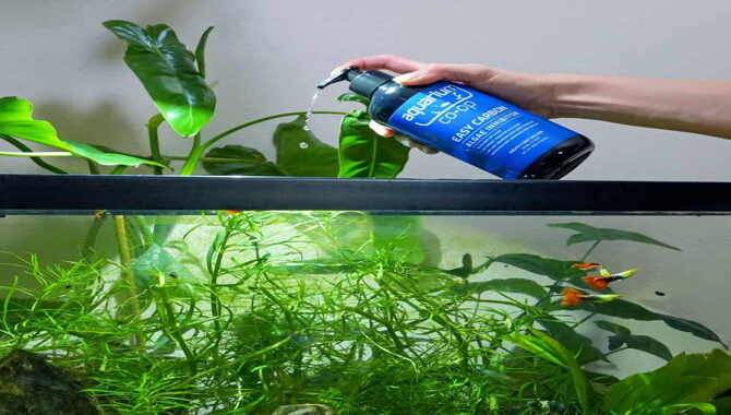 Fertilizing Your Aquatic Plants