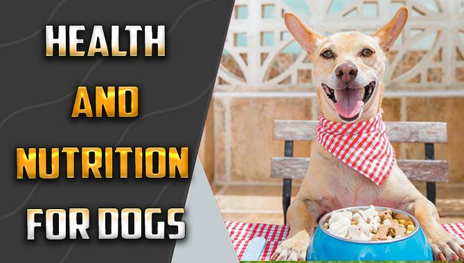 Health And Nutrition For Dogs