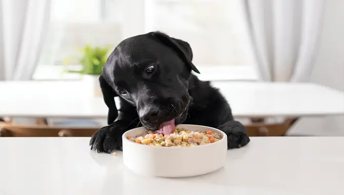 How Can I Tell If My Dog Is Getting The Nutrients They Need From Their Food?