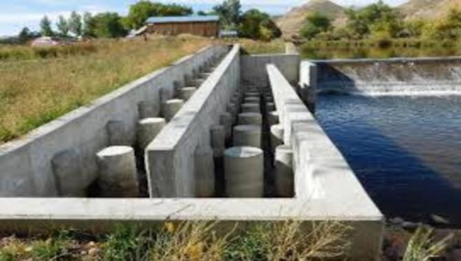 How Do You Account For Different Fish Species When Designing Fish Passage Structures