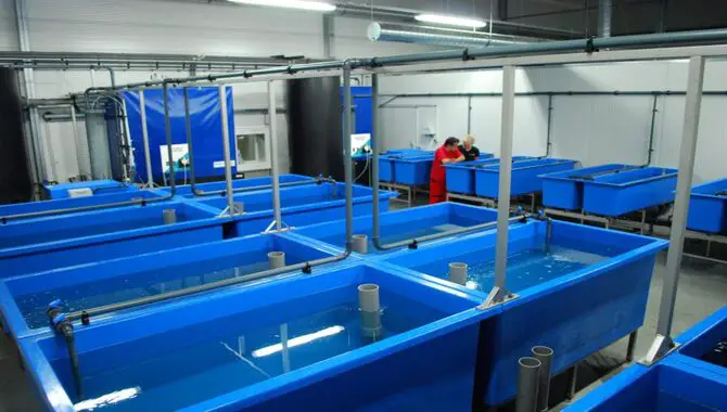 How Do You Design A Fish Hatchery For Specific Species Of Fish