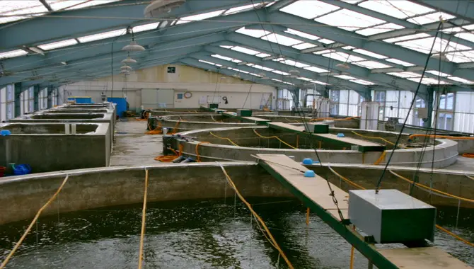 How Do You Determine The Size And Capacity Of A Fish Hatchery