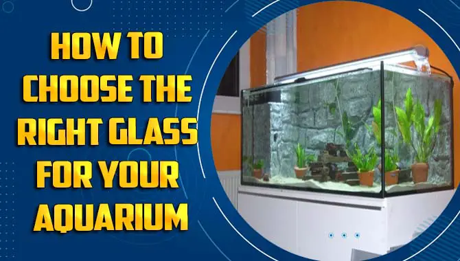 How To Choose The Right Glass For Your Aquarium