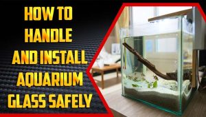 How To Handle And Install Aquarium Glass Safely