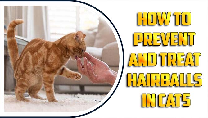 How To Prevent And Treat Hairballs In Cats