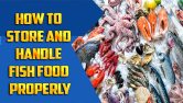 How To Store And Handle Fish Food Properly