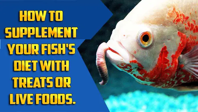 How To Supplement Your Fish's Diet With Treats Or Live Foods