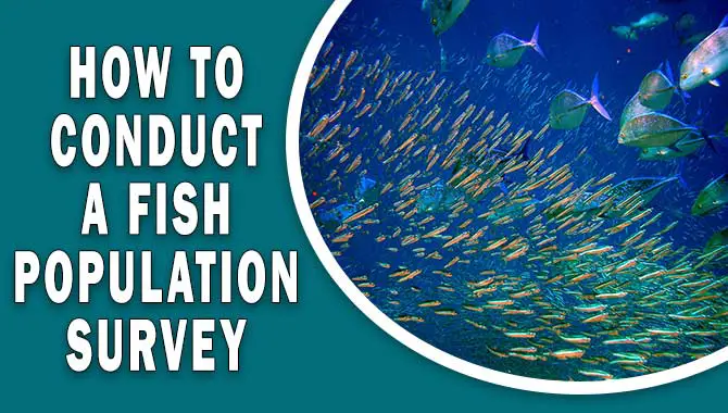 How To Conduct A Fish Population Survey