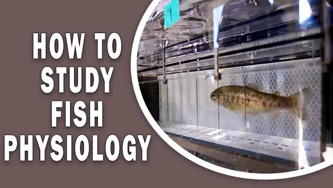 How To Study Fish Physiology