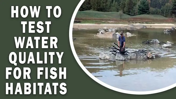 How To Test Water Quality For Fish Habitats